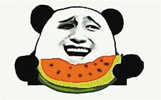 免费吃瓜什么意思,网络热词背后的文化现象 第3张 免费吃瓜什么意思,网络热词背后的文化现象 第3张