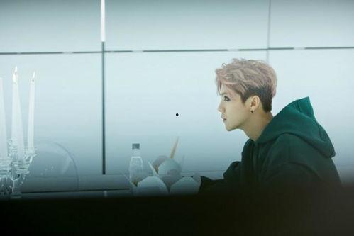 鹿晗最新消息爆料视频,独家爆料视频大揭秘 第2张 鹿晗最新消息爆料视频,独家爆料视频大揭秘 第2张